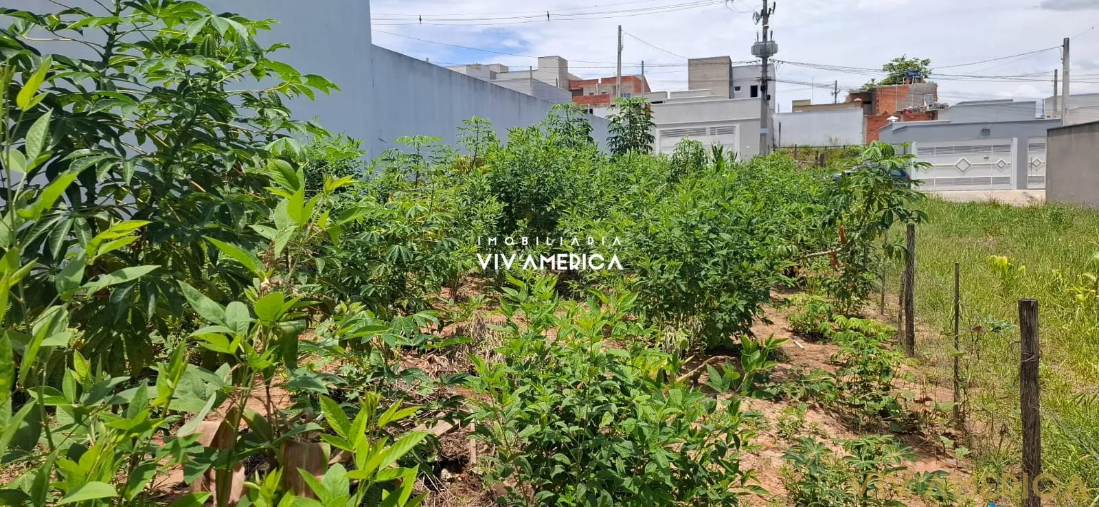 Terreno/Lote